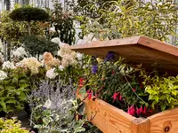 Pépinières Meylan SA