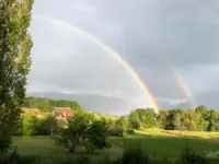 Hôtel pour chats 'Le Clozaley' - Klicken Sie, um das Bild 21 in einer Lightbox vergrössert darzustellen