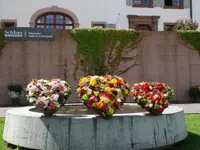 Senn Blumen AG - Klicken Sie, um das Bild 4 in einer Lightbox vergrössert darzustellen