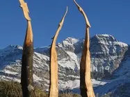 Bildhauer Gisler