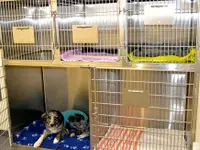 Tierärztliche Gemeinschaftspraxis Lindenmatte AG