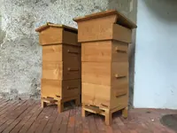 Taiabó Sagl