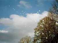aurora das andere Bestattungsunternehmen