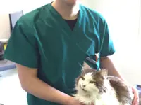 Pratique Vétérinaire Valesia SA