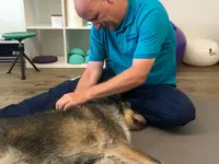 Tierphysio-Praxis Oberland GmbH
