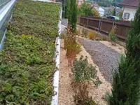 Kummer Gartenbau - Pflanzenoase
