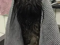 Agota's Hundesalon