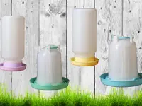 Wachtelshop Oliver Frei