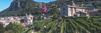 Municipio di Mendrisio