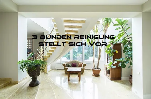 3 Bünden Reinigung