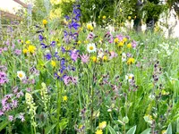 Wildblumendienst