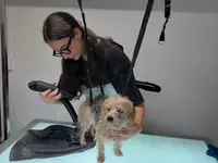 Hundesalon Isidora