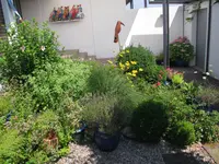 Widler Gartenbau GmbH