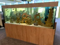 Aquarium-Bassin SARL