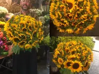 Fleuriste des Augustins - Philosophes