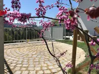 Vatter Garten AG