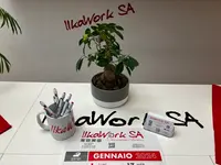 ILKAWORK SA