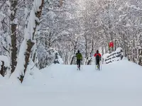 Gommer Sport GmbH - Klicken Sie, um das Bild 5 in einer Lightbox vergrössert darzustellen