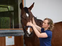 Equine Sports Medicine Services GmbH - Klicken Sie, um das Bild 14 in einer Lightbox vergrössert darzustellen