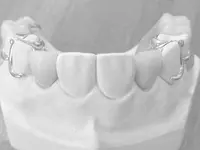 Dental Labor