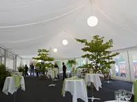Vögtli Group AG