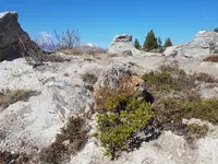 Jardin SA - Klicken Sie, um das Bild 17 in einer Lightbox vergrössert darzustellen