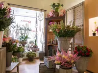 Blumenhaus Wiedikon