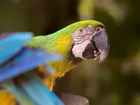 Zoo al Maglio - Neggio - Klicken Sie, um das Bild 8 in einer Lightbox vergrössert darzustellen