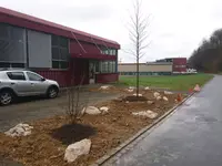 Baummaa Baumpflege GmbH