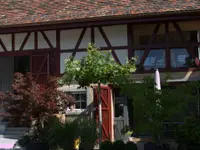 Wipf Bau AG