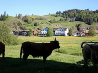 Alterszentrum Rotenwies - Klicken Sie, um das Bild 3 in einer Lightbox vergrössert darzustellen