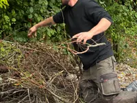 Gartencoach Dario Peyer