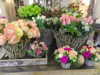 Rosanella Blumen
