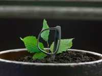 Bloesser Optik AG