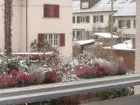 Rollfenster GmbH