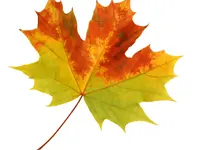 Herbst Beratung & Planung GmbH