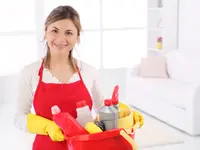 Clean Profis Reinigungen