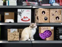 Katzen-Praxis.ch