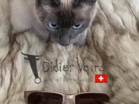 Ebneter Optik, Brillen & Kontaktlinsen