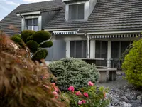 Bruno Preite Gartengestaltung und Gartenpflege - Ihr Gartenbauer im Limmattal, im Aargau & Zürich.