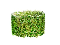 Beatrice Rossi - Juwelier Zürich