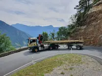 Zimmermann P. Transporte GmbH