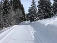 Dätwyler Sports