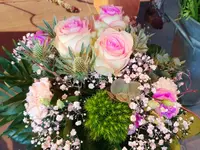 Blumen und Pflanzen