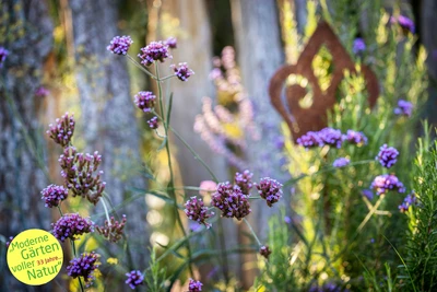 Gardens for Living by Moor-Nebel Gärten