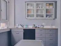 Kleintierpraxis Chännelmatte GmbH