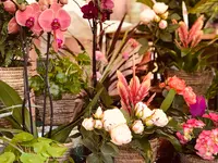 Blumenboutique Eden