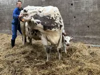 Luana EMINIC HUGO - L'ostéo animaux