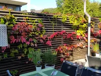 Gasthof Pizzeria Weingarten