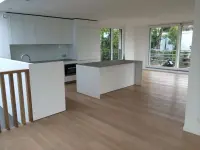 Parquets Plus